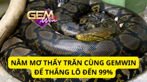 Nằm Mơ Thấy Trăn Cùng Gemwin Để Thắng Lô Đến 99%