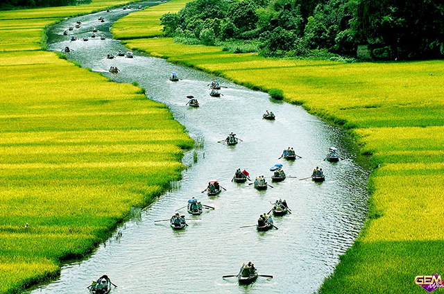 Chiêm bao thấy người nhà về quê