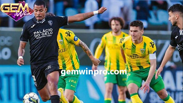 Kèo tài xỉu vòng 19 Liga Portugal 2 trận Academico Viseu vs Tondela