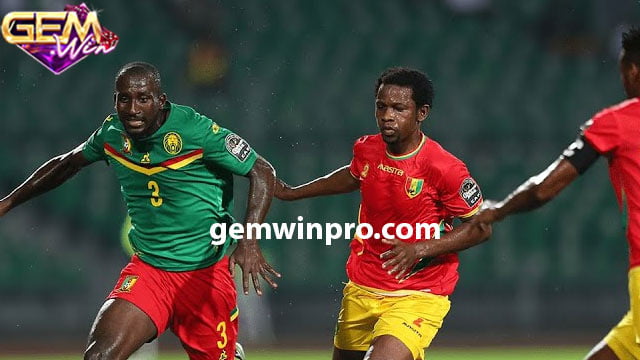 Đội hình dự kiến trận đấu giữa Cameroon vs Guinea