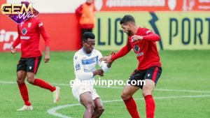 Dự đoán Penafiel vs Feirense lúc 01h ngày 30/1