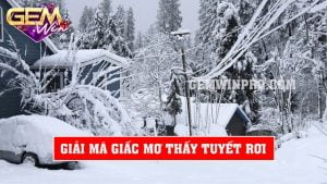 Giải mã giấc mơ thấy tuyết rơi - Tìm hiểu ý nghĩa cùng Gemwin