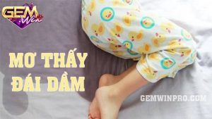 Mơ thấy đái dầm - Giải mã giấc mơ hay nhất 2024 ở Gemwin