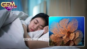 Mơ thấy san hô - Những con số mang đến tài lộc ở Gemwin